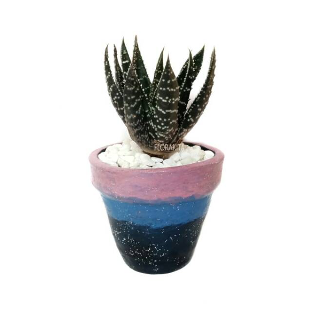 Pot Tanah Liat/Clay Pot Small