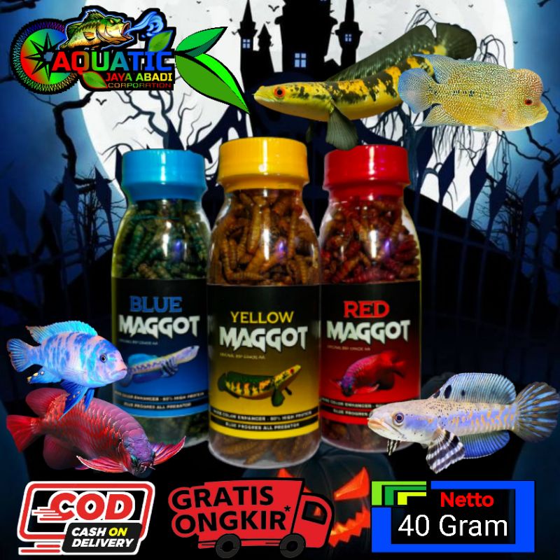 Pakan Ikan Channa Maggot Blue Yellow Red Kemasan Botol 100 ml