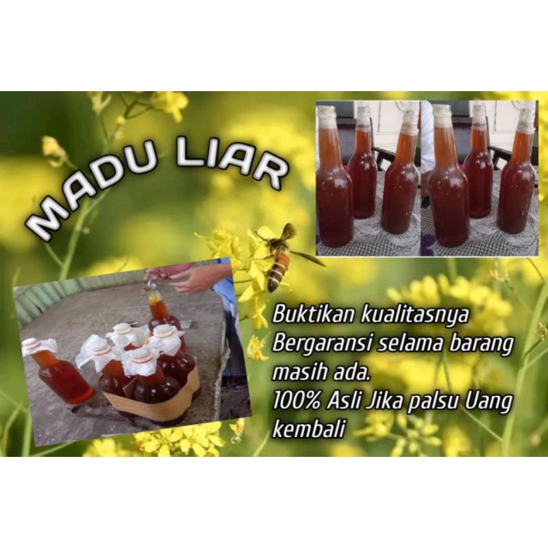 

MADU LIAR 100% ASLI