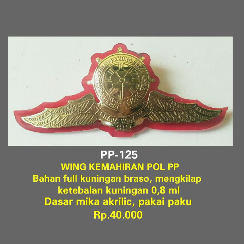 pp-125 wing pol pp kemahiran braso