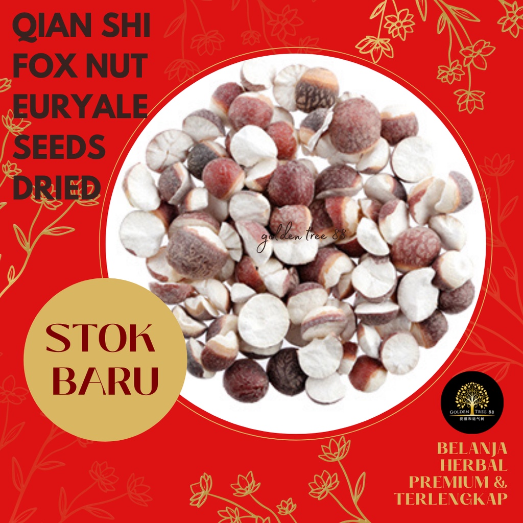 

100 gram PREMIUM QIAN SHI / EURYALE SEEDS / FOX NUTS ASLI SUPER100 gram PREMIUM QIAN SHI / EURYALE SEEDS / FOX NUTS ASLI SUPER