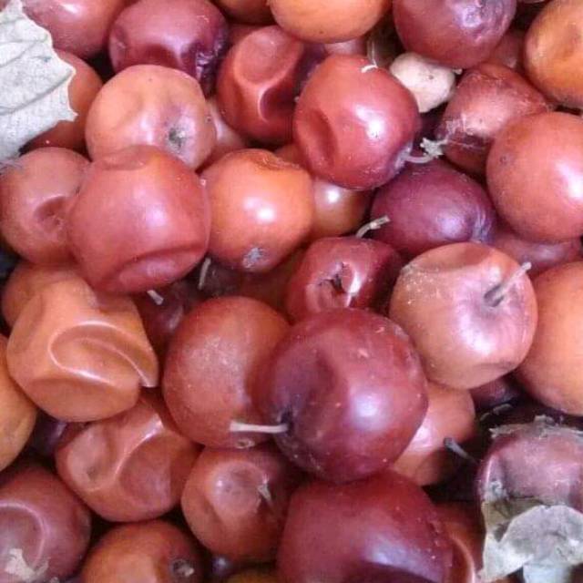 Buah Bidara Kering 1kg Shopee Indonesia