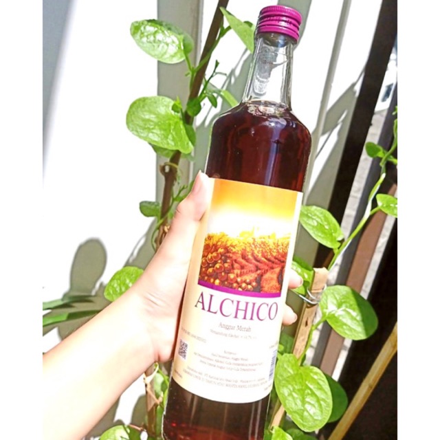 

Anggur Merah Alchico