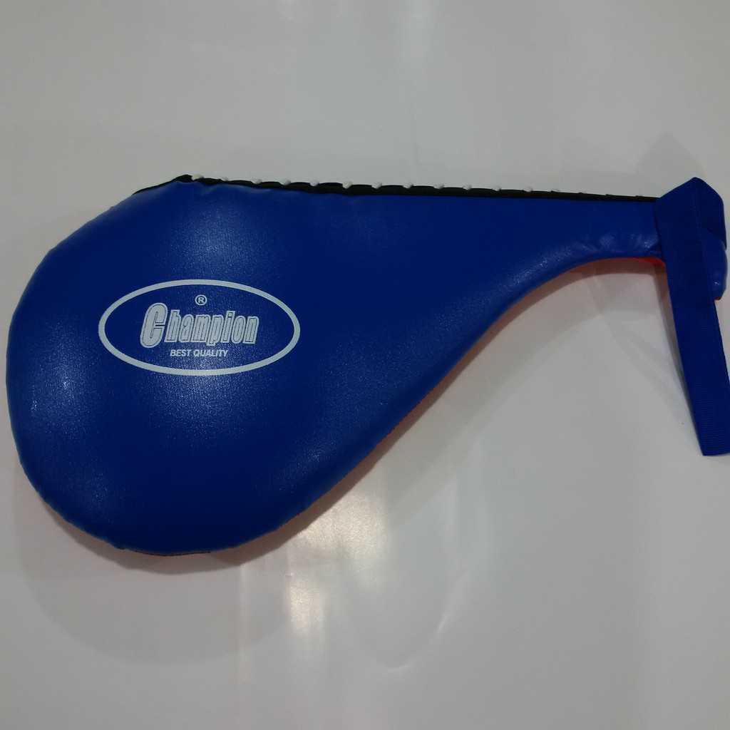 Target Pukul Target Tendang Champion