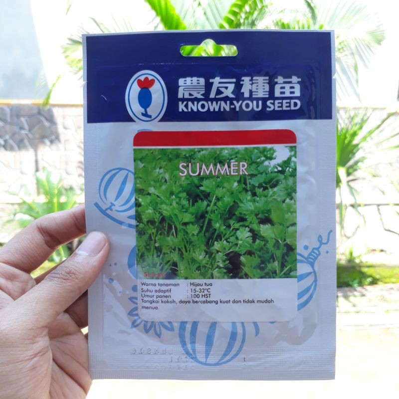 Benih Seledri SUMMER 5 Gram Known You Seed