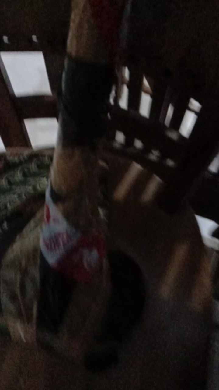 Sapu Sabut Kelapa Batang Bambu