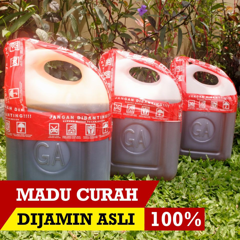 

MADU KLANCENG CURAH 5 kg Lebah Apis Trigona - Bergaransi Produk Asli 100%