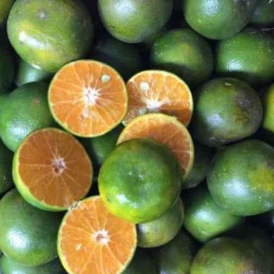 

BUAH JERUK PERAS PONTIANAK FRESH