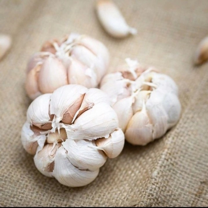 

Bawang Putih Besar / Garlic Sayuran Fresh Alami 500 gram/GOOD