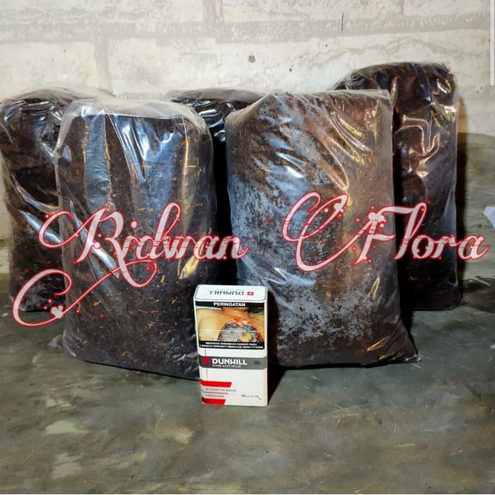 Sekam bakar 1 kg kemasan besar - sekam bakar