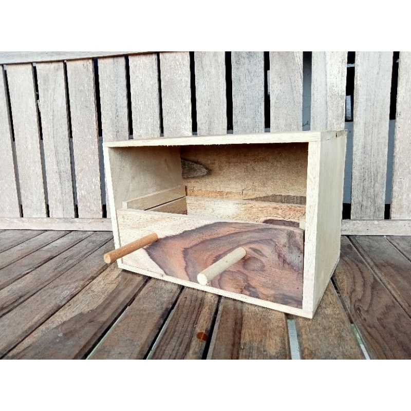 Glodok Murai Laci Sarang Bertelur Burung Murai Jalak DLl