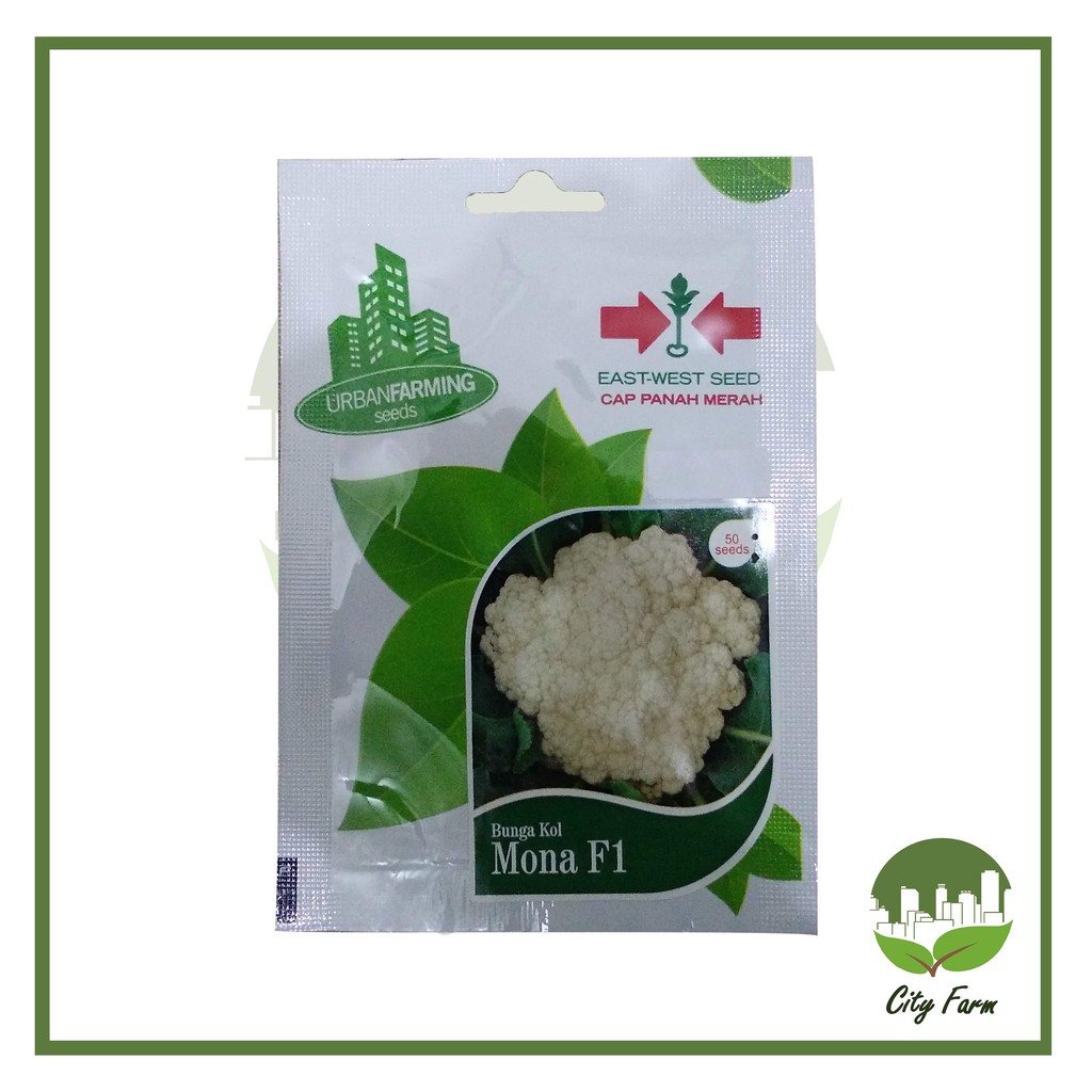 BENIH BUNGA KOL MONA F1 UF (50 BTR) PANAH MERAH