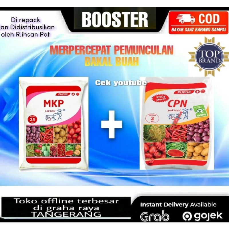 Pupuk Mkp Kno3 Merah Cpn Booster Mangga Strobery Dll