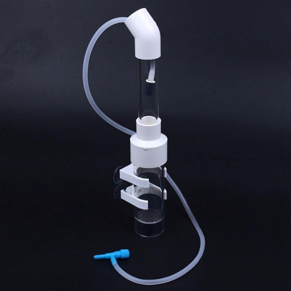 NICKOLAS1 Marocco galihggs galihatchery suketurable galihir alfinevice galihouth galihreeder galihish galihanks galihquarium mustofaccessories