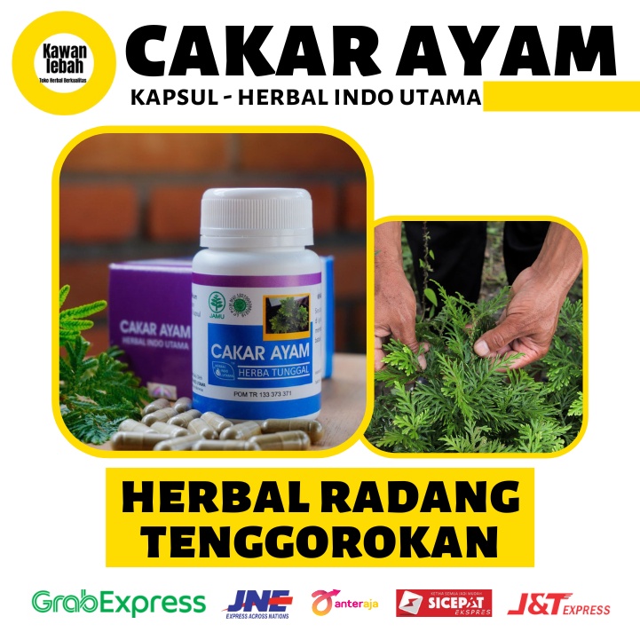 

Herbal Radang Tenggorokan Hepatitis HIU Cakar Ayam Herbal Indo Utama