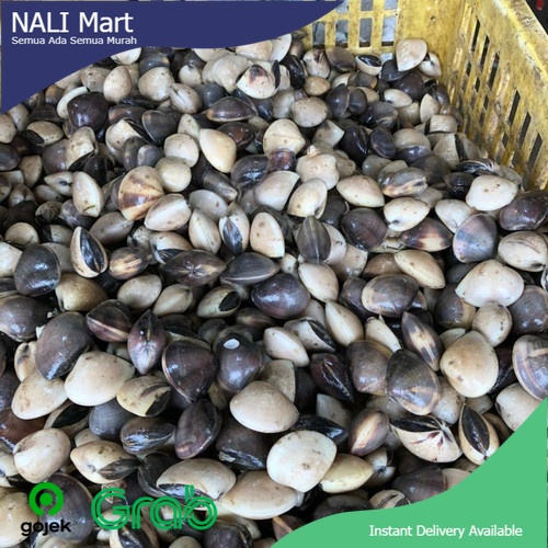 

Kerang Kepah Kulit Segar / Kerang Kepah Segar / Kerang Tahu 500gr - 1kg Sayur online