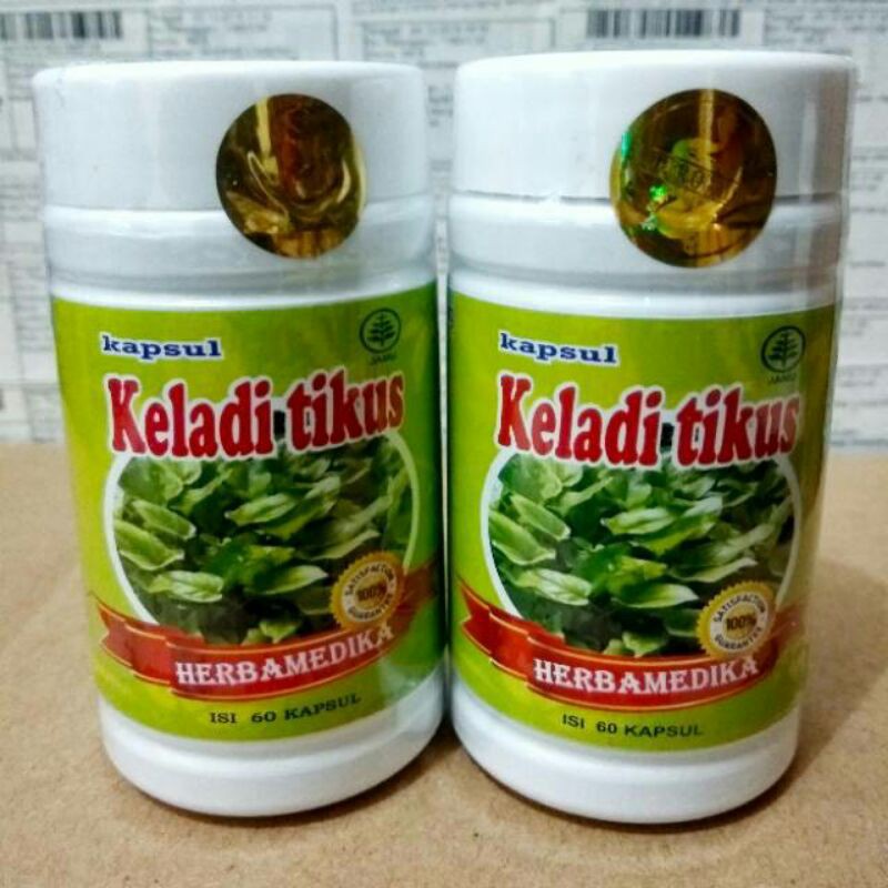 kapsul keladi tikus herbamedika