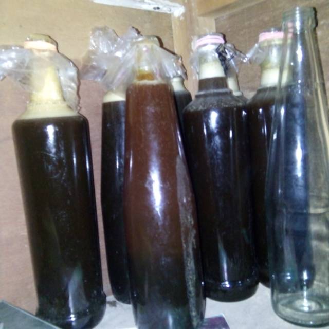 

Madu tawon