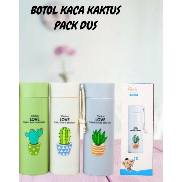 BOTOL KAKTUS KEMASAN DUS (ada kotak)