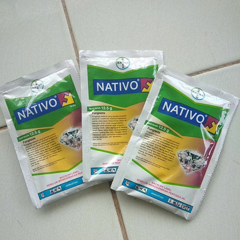 NATIVO 75 wg