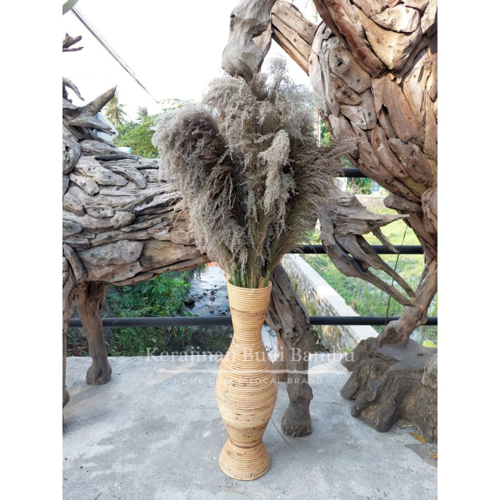 DEKORASI RUMAH PAMPAS BUNGA KERING NATURAL TERMURAH