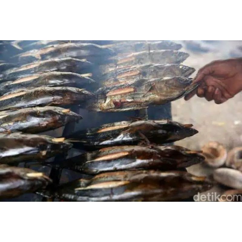 

IKAN TONGKOL ASAP SATU EKOR