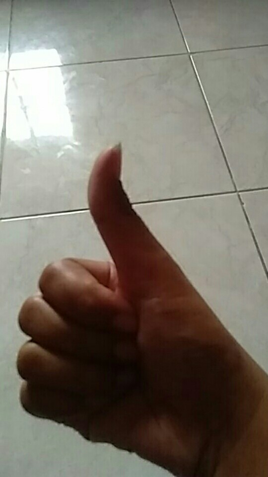 Sepon Cuci Piring My