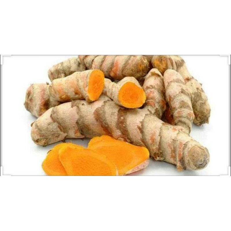 

bumbu dapur kunyit segar