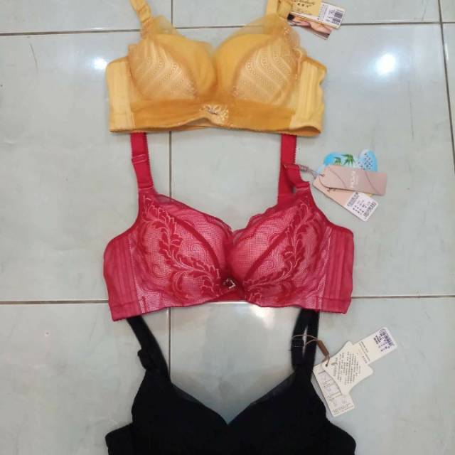BRA IMPORT DOUBLE SPONS