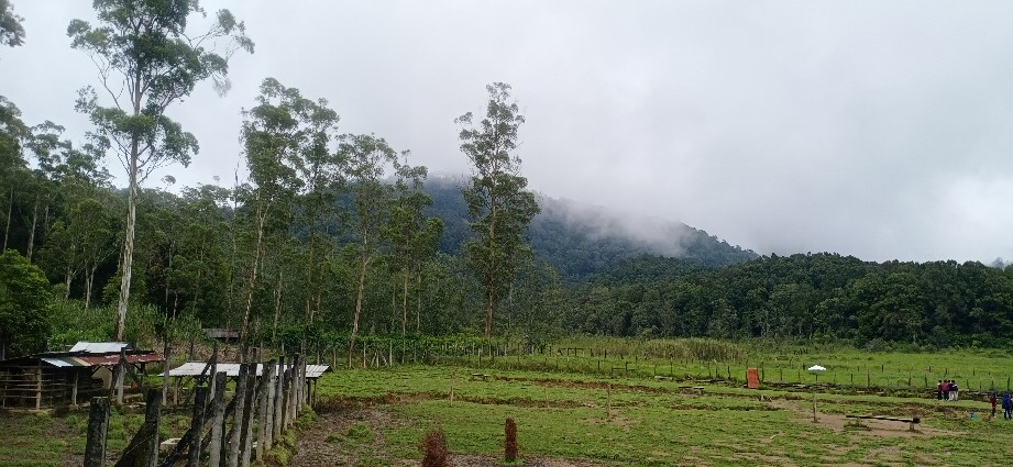 Jemuran Handuk Mini 100cm