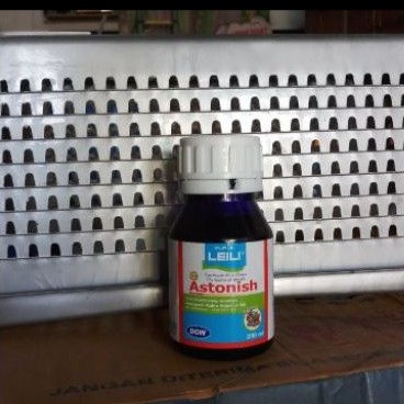 

Astonish Leili 2000 DGW 250ml Leily Leli