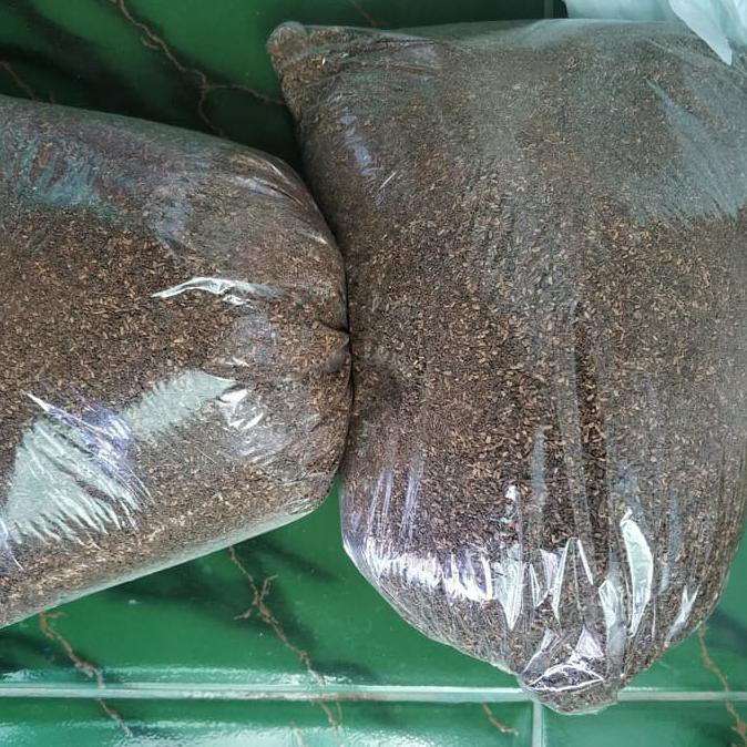 Jual Bibit Tanaman Gr Biji Benih Kayu Pohon Jabon Merah Karumama