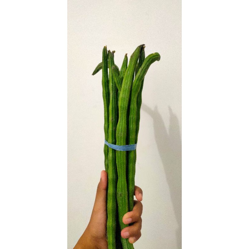 

Bisa Kirim Instan - Klentang / Buah Kelor per ikat