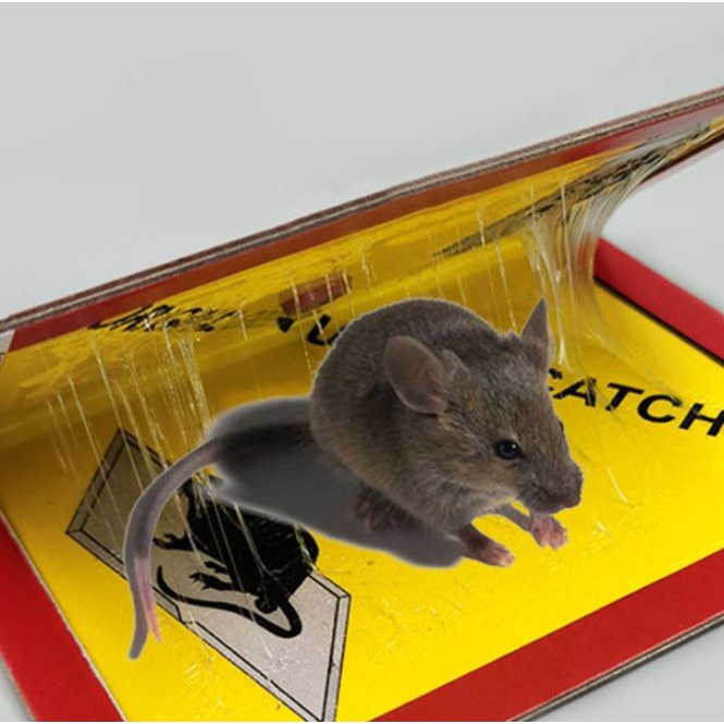 LEM TIKUS SUPER LENGKET