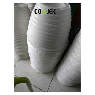 Pot  Tawon  30  PUTIH Shopee Indonesia