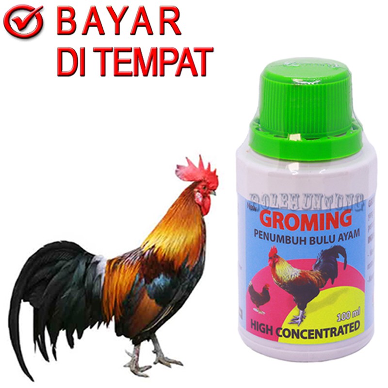 GROMING VITAMIN BULU AYAM PENUMBUH BULU ITIK