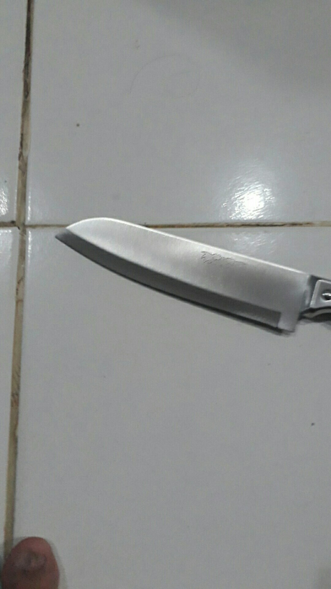 Pisau Dapur Stainless Steel Cap Dua Ikan 30 Cm