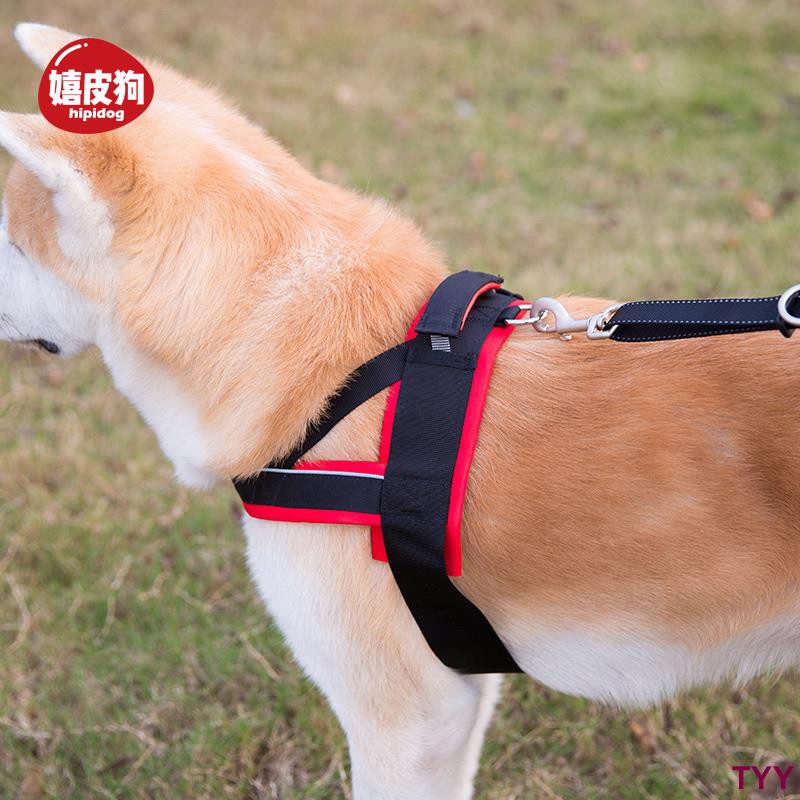 Tyy Tali Anjing Besar Tali Dada Sedang Anjing Besar Rambut