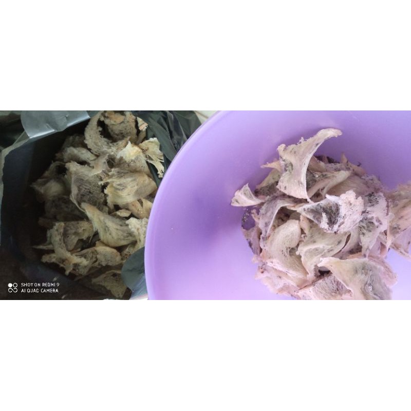 

Sarang burung walet kotor 10 gram