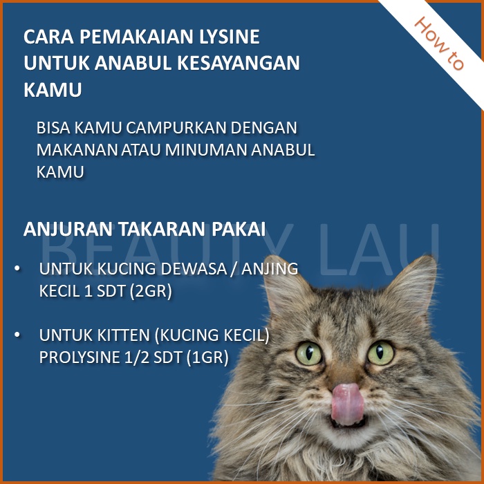 LYSINE KUCING KAREIN VITAMIN FITAMIN OBAT PENAMBAH NAFSU MAKAN KUCING ANJING PENGGEMUK KUCING MURAH