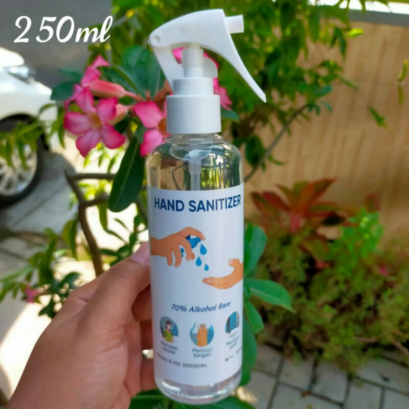 Jual Hand Sanitizer Spray 250 Ml Shopee Indonesia 1331