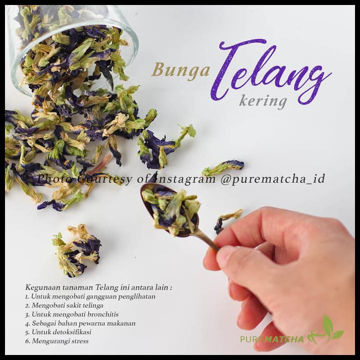 

Bunga Telang Kering Dried Butterfly Pea Flower Blue Tea Teh Biru 10Gr