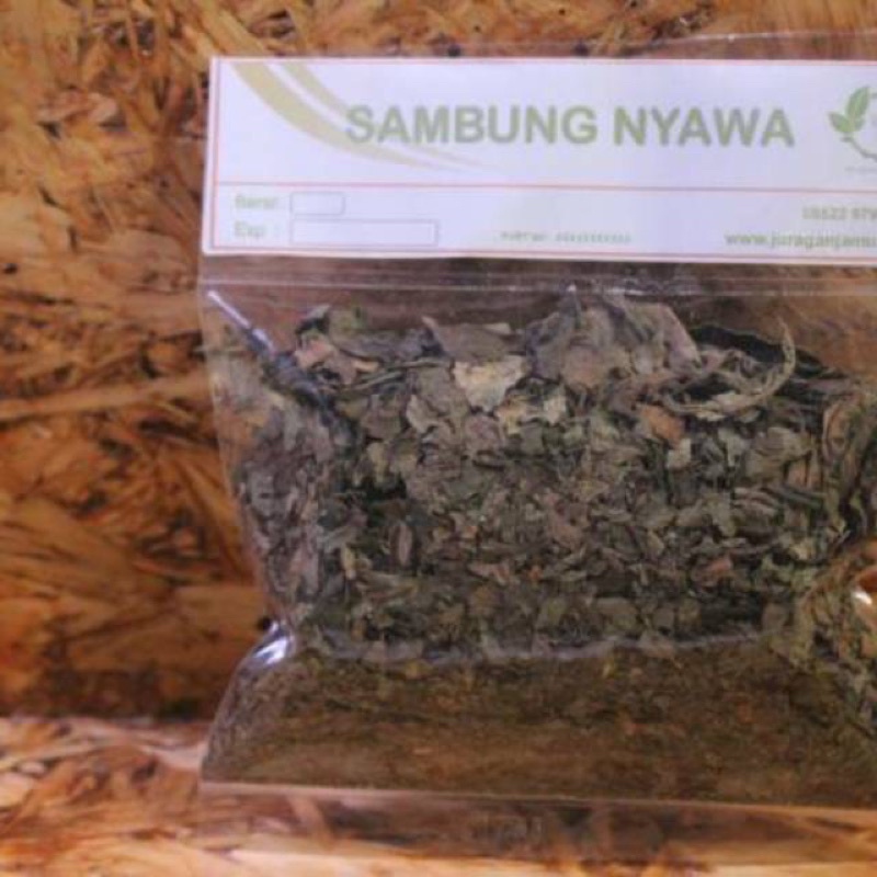 

sambung nyawa nyowo kering, 500 gram Gynura procumbens