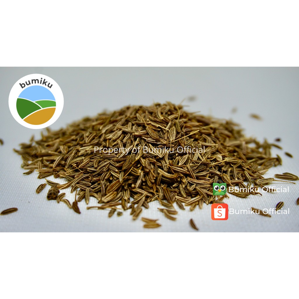 

Termurah Caraway Seed | 1kg | Cumin | Jintan | Jinten Premium