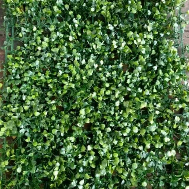 Tanaman rambat dolar sintetis - tanaman palsu artificial - tanaman hiasan 