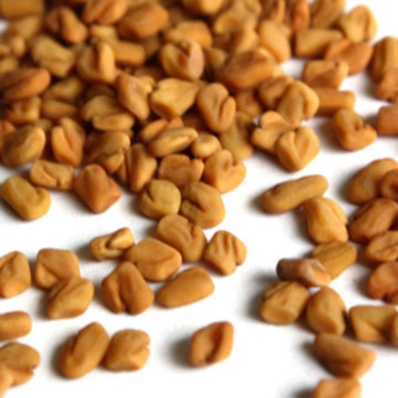 

KLABET/fenugreek/methi seeds/hulbah mengencangkan payudara,melancarkan ASI,mengobati sakit pinggang dan wasir