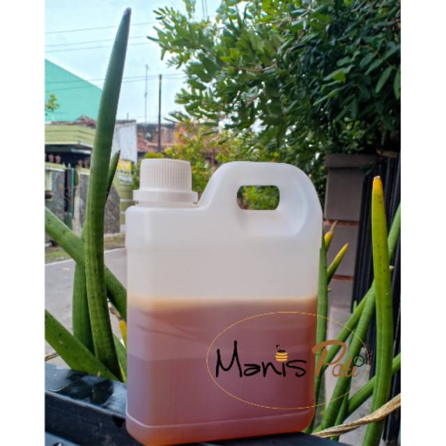 

Madu minum jerigen besar