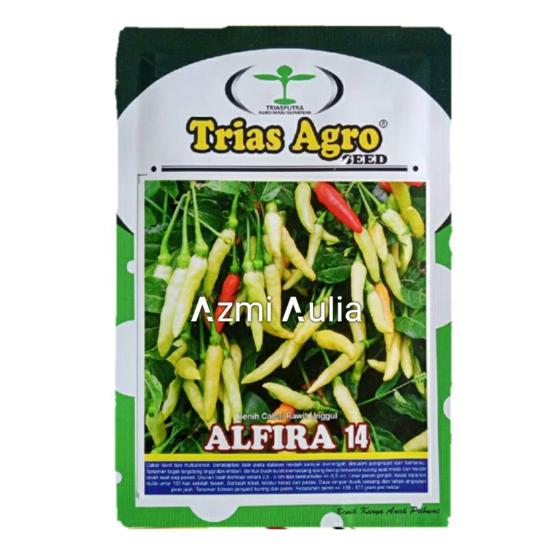 Benih Cabe  Rawit Putih ALFIRA 14 10Gram Benih Cabe Rawit Bibit Cabe Rawit Putih Bibit Cabe Rawit
