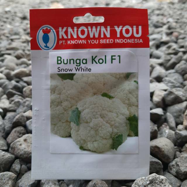 benih sayur kol bunga SNOW WHITE F1 (140btr)Known You Seed