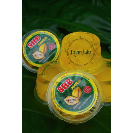 carica khas dieng (isi 6) buah carica minuman carica